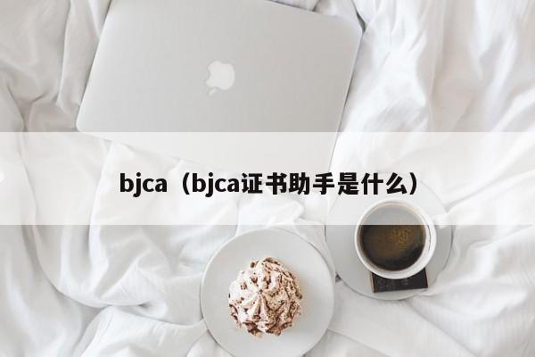 bjca（bjca证书助手是什么）