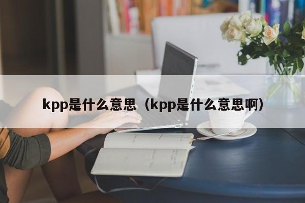 kpp是什么意思（kpp是什么意思啊）