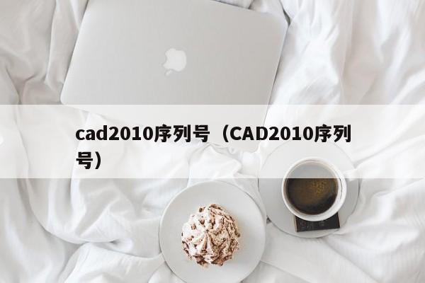 cad2010序列号（CAD2010序列号）