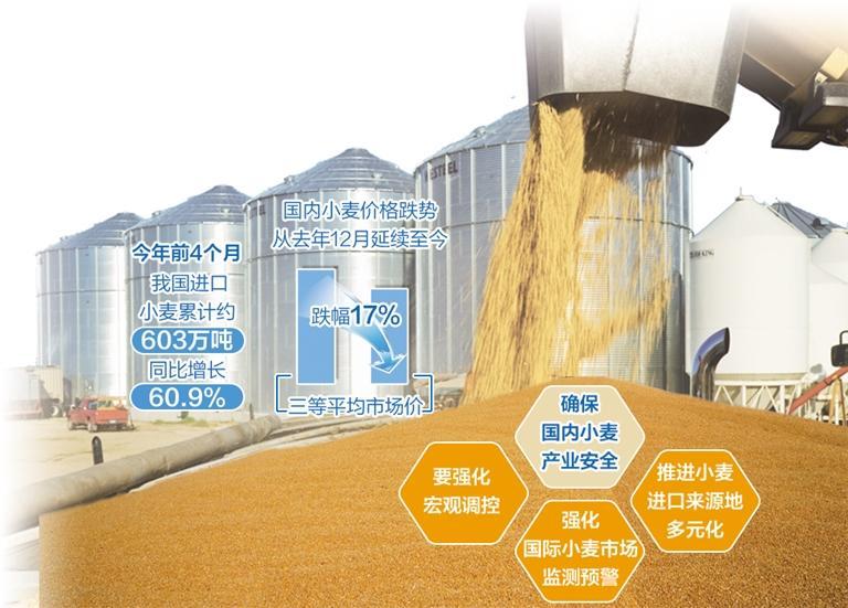 小麦进口激增对国内市场影响不大