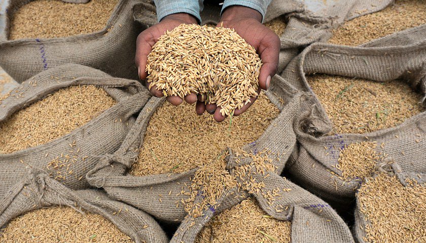 亚洲大米价格涨至3年新高，阿联酋俄罗斯跟随印度限制出口