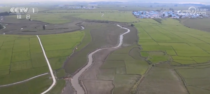 水稻被淹之后如何最大程度减少损失？东北各地积极展开灾后农业生产恢复