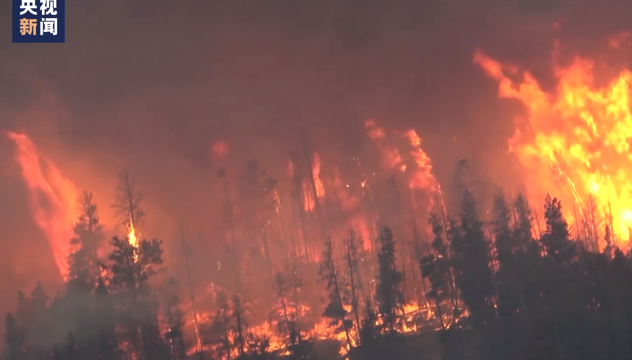 有记录以来最严重！加拿大全国同时发生1000多起林火！多地宣布进入紧急状态，居民：很多人吓坏了