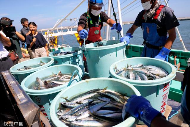 中国全面暂停进口后，日本政府拟追加200亿日元支持渔业企业