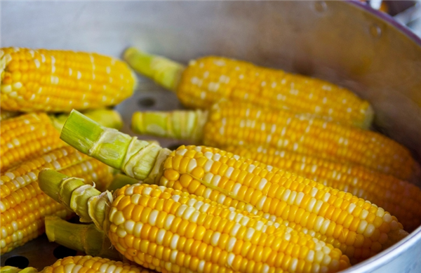 关于玉米的8个真相：减肥控血糖吃甜玉米还是糯玉米